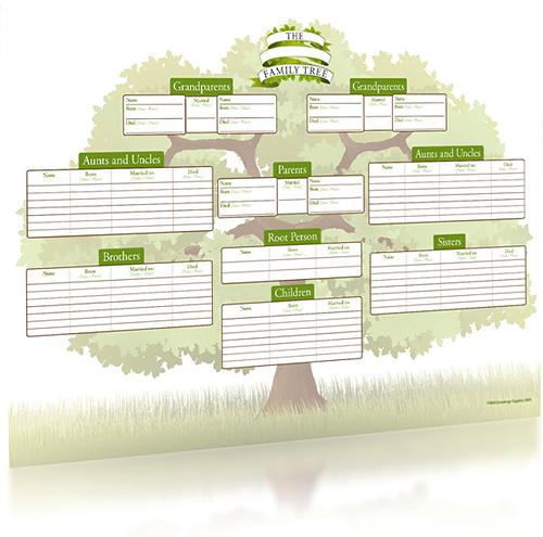 Colour 'The Family Oak' A2 Tree Chart, Family Historian
